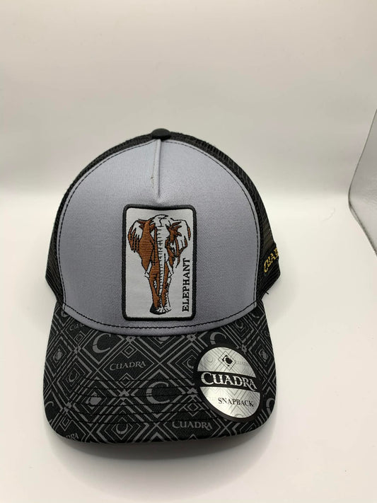 Cuadra Elephant