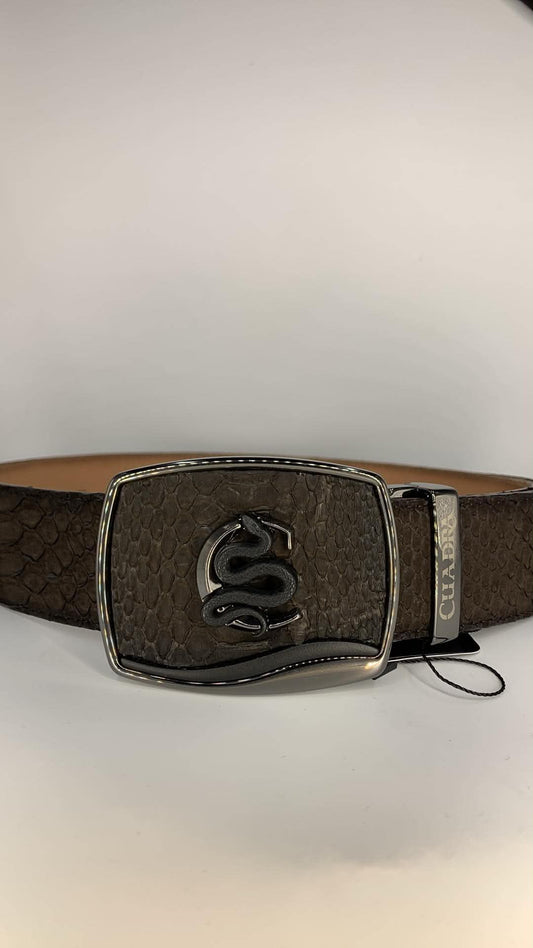 Cinto Brown Python